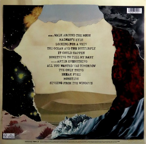 Dave Matthews Band: Walk Around The Moon [Winyl]