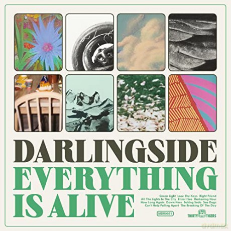 Darlingside: Everything Is Alive [Winyl]