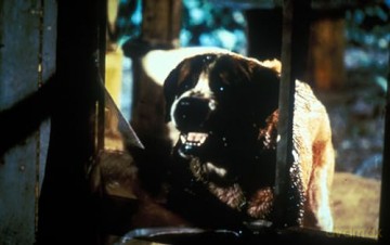Cujo [Blu-Ray]