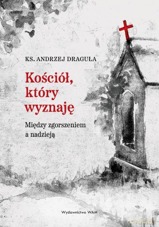 Kościół, który wyznaję. Między zgorszeniem a nadzieją - Andrzej Draguła [KSIĄŻKA]