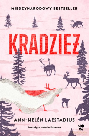 Kradzież - Ann-Helén Laestadius [KSIĄŻKA]