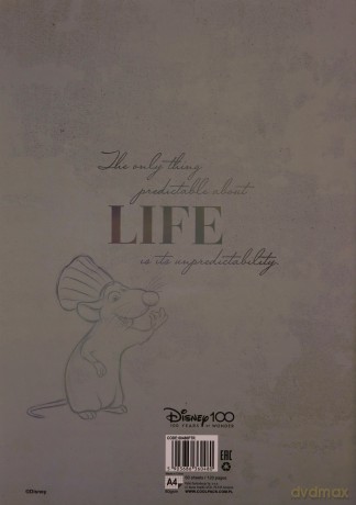 Zeszyt A4 60 k. kratka Disney 100 wzór 3
