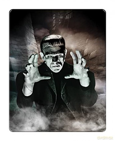Frankenstein (steelbook) [Blu-Ray 4K]+[Blu-Ray]