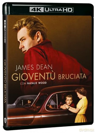 Gioventu Bruciata