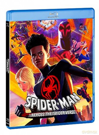 Spider-Man Across The Spider-Verse