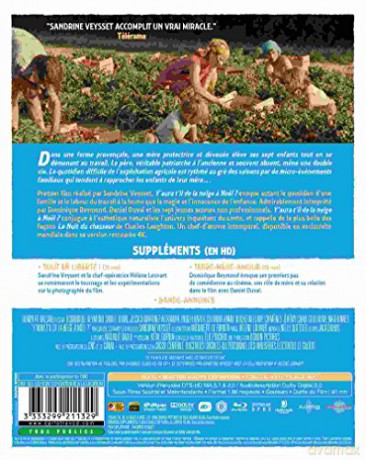 Y Aura T Il De La Neige A Noel/Blu-Ray
