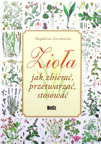 Zioła. Jak zbierać, przetwarzać, stosować - Gorzkowska Magdalena [KSIĄŻKA]