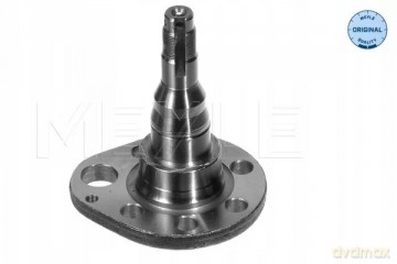 Meyle 100 501 0036 Sworzeń zwrotnicy, zawieszenie koła VW Seat