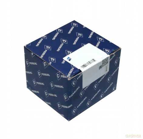 Pompa podciśnieniowa, układ hamulcowy Pierburg 7.24808.15.0 Hyundai Kia