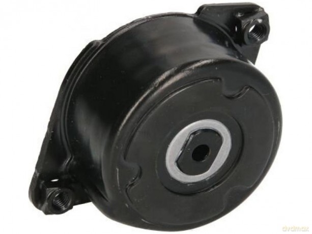 SNR GA350.52 Rolka napinacza, pasek klinowy wielorowkowy Opel Rover BMW