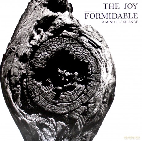 The Joy Formidable: A Minutes Silence [WINYL]