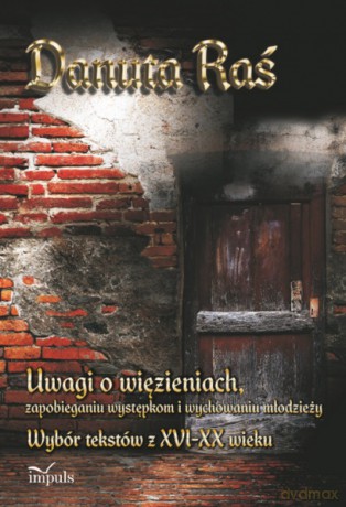 Uwagi O Więzieniach, Zapobieganiu Występkom I Wychowaniu Młodzieży - Danuta Ra [KSIĄŻKA]