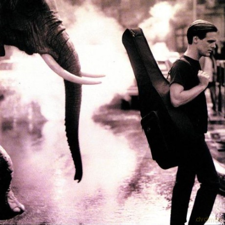 Bryan Adams: On A Day Like Today-Revised Version [CD]