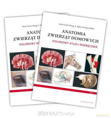 Anatomia zwierząt domowych. Kolorowy atlas - Hans-Georg Liebich, Horst Erich Konig [KSIĄŻKA]