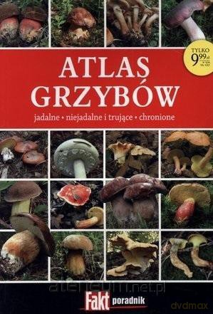 Atlas grzybów - Wiesław Kamiński [KSIĄŻKA]