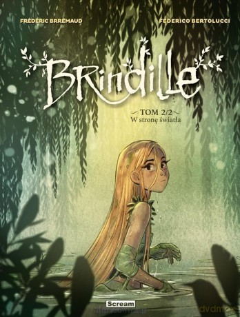 Brindille (Tom 2) W stronę światła - Frederic Brremaud [KOMIKS]