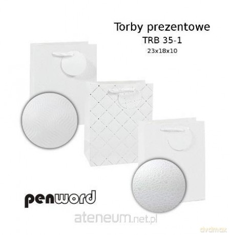 Torebka prezentowa 23x18x10cm MIX
