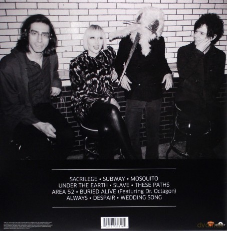 Yeah Yeah Yeahs: Mosquito [Winyl]