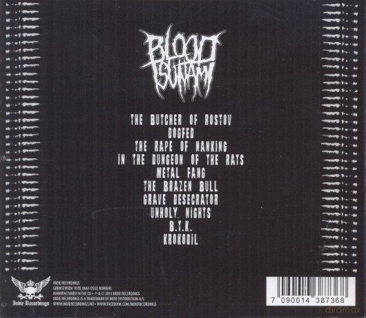 Blood Tsunami: For Faen [CD]