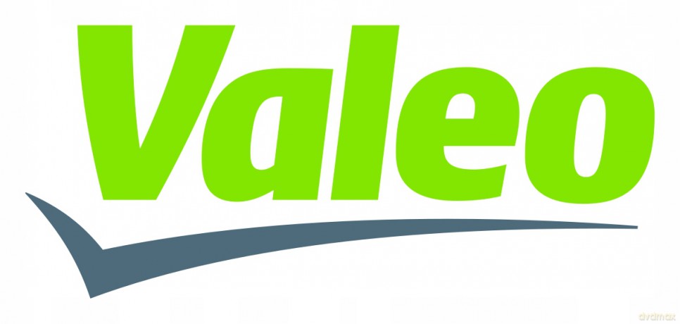 Valeo 698714 Filtr, wentylacja przestrzeni pasażerskiej Peugeot Citroen