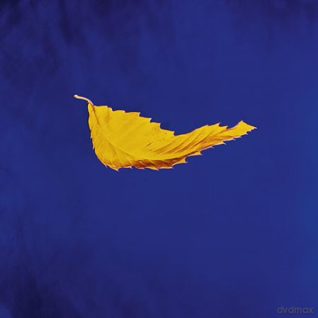 New Order: True Faith [Winyl]