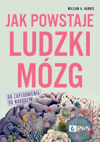 Jak powstaje ludzki mózg. Od zapłodnienia do narodzin - William A. Harris [KSIĄŻKA]