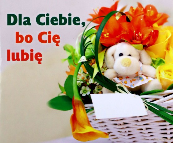 Dla Ciebie Bo Cię Lubię [KSIĄŻKA]