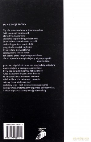 Idąc myślami w słów zamieci - Marcin Popławski [KSIĄŻKA]