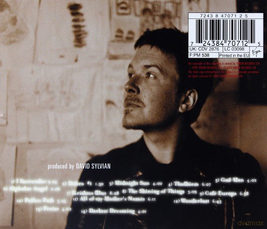 Sylvian, David: Dead Bees On A Cake [CD]