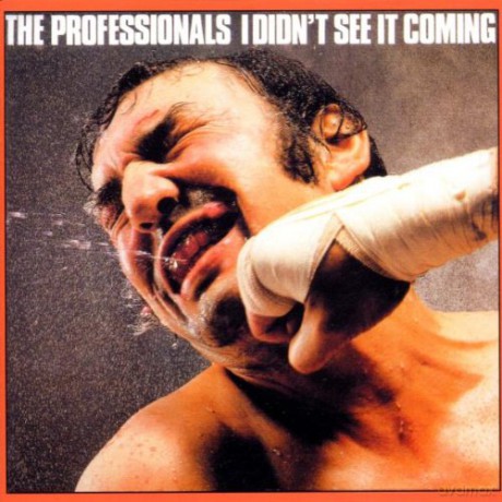 Professionals, The: I Didn`T See It Coming [CD]