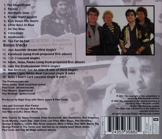 Professionals, The: I Didn`T See It Coming [CD]