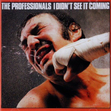 Professionals, The: I Didn`T See It Coming [CD]