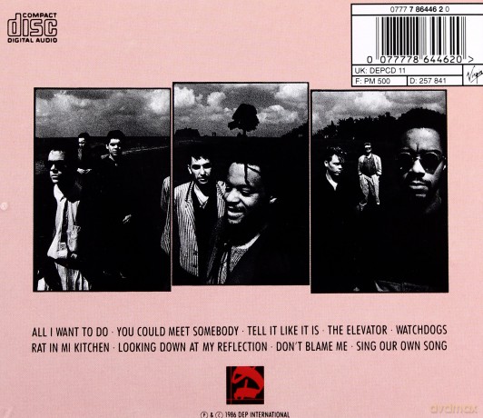 Ub40: Rat [CD]