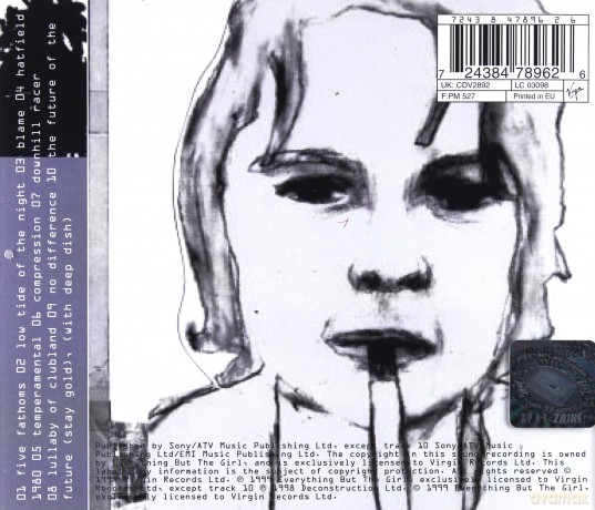 Everything But The Girl: Temperamental [CD]