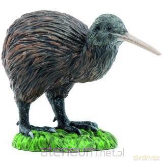 Kiwi [FIGURKA]