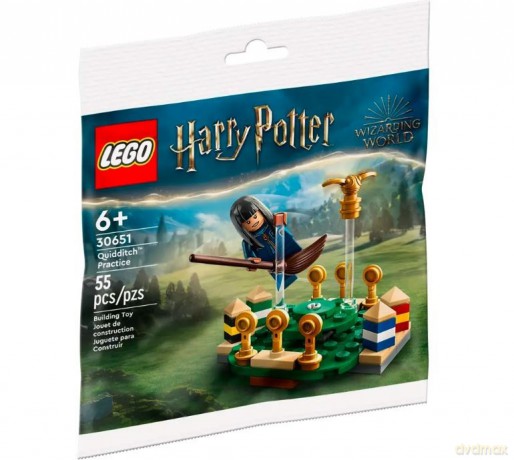 LEGO Harry Potter Trening quidditcha (30651) [KLOCKI]