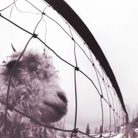 Pearl Jam: Vs. (30th Anniversary Edition) [2xWinyl]