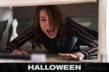 Halloween (steelbook) [Blu-Ray 4K]+[Blu-Ray]