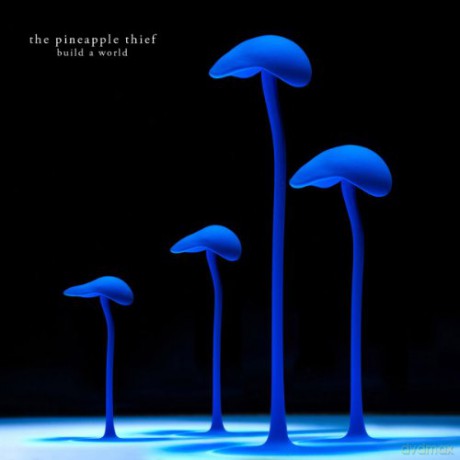The Pineapple Thief: Build A World [CD]