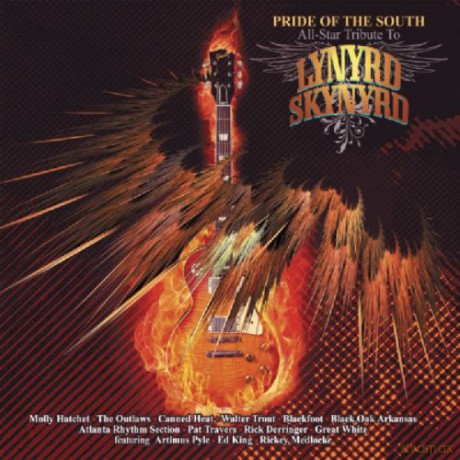 Pride Of The South - All Star Tribute To Lynyrd Skynyrd (digipack) [CD]