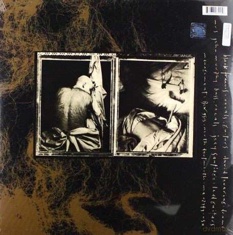 The Pixies: Come On Pilgrim [WINYL]