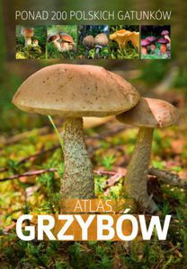 Atlas grzybów - Zarawska Patrycja [KSIĄŻKA]
