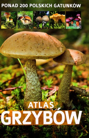 Atlas grzybów - Zarawska Patrycja [KSIĄŻKA]