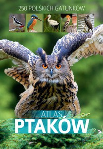 Atlas ptaków - Marchowski Dominik [KSIĄŻKA]