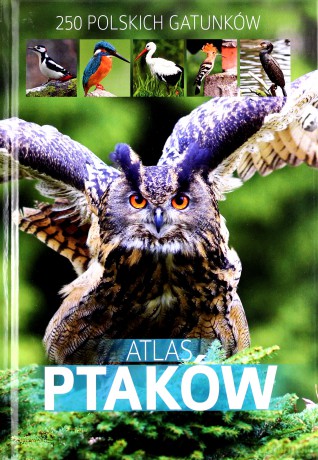 Atlas ptaków - Marchowski Dominik [KSIĄŻKA]