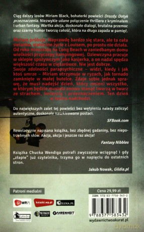 Drozdy. Posłaniec śmierci - Wendig Chuck, Wendig Chuck [KSIĄŻKA]