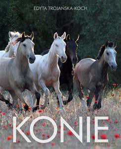 Konie - Trojańska-Koch Edyta [KSIĄŻKA]