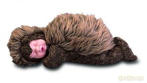 Lalka Anne Geddes Śpiący Jeżyk 12" [ZABAWKA]