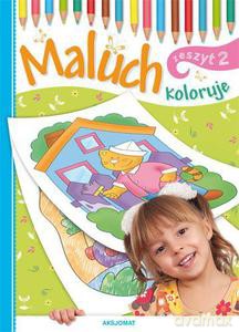 Maluch koloruje zeszyt 2 [KSIĄŻKA]