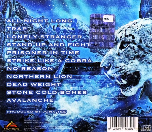 Temple Balls: Avalanche [CD]